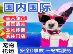 临沂航空运输国际宠物托运 【国